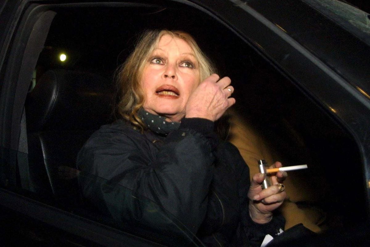 Brigitte Bardot falleció a los 91 años. (EFE/EPA/ROBERT GHEMENT)