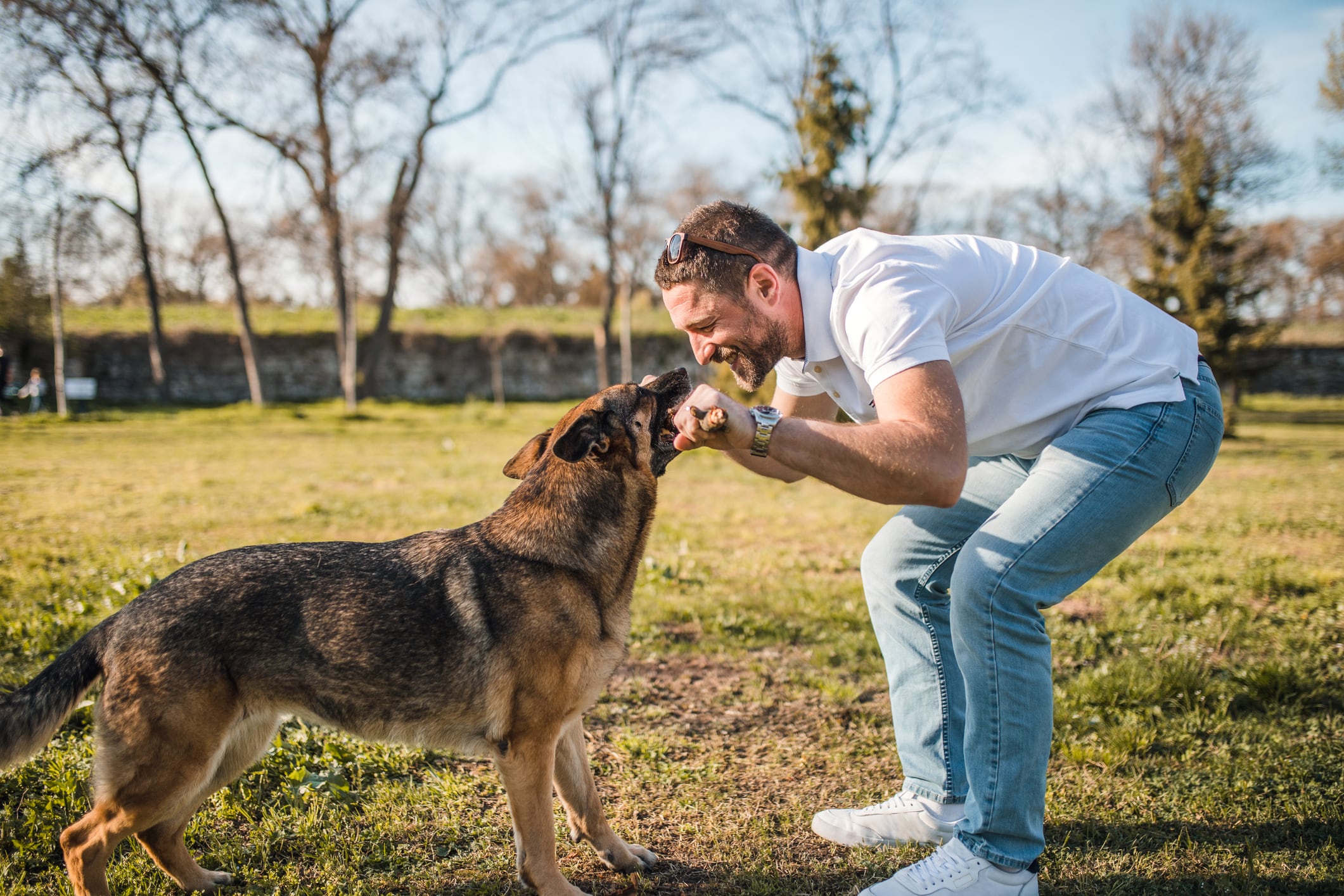 No obligues a tu engreído a recibir caricias o acercarse cuando no quiere. Respetar sus momentos también ayuda a que se sienta tranquilo y seguro contigo. Foto: Istock