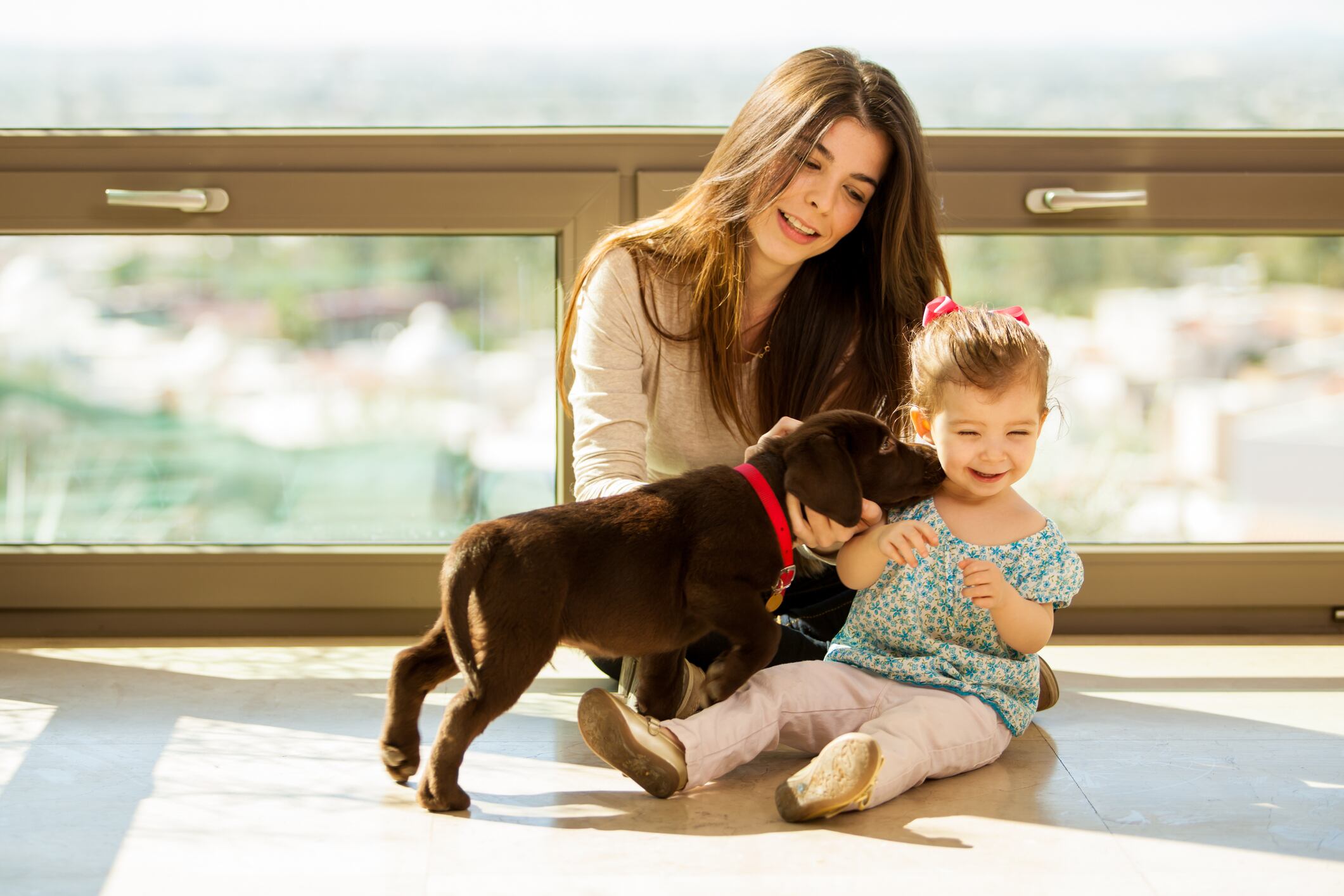 Nunca dejes a un perro solo con un bebé, por más tranquilo o cariñoso que parezca. Un movimiento brusco, un susto o una reacción imprevista pueden generar un accidente. Foto: Istock