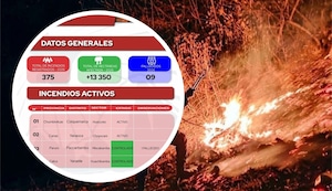 ¡Horror! Incendios forestales en Cusco dejan 9 muertos y una anciana de 72 años es la última víctima
