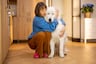 Tu perrito podría sufrir del corazón: conoce las 5 señales de alerta