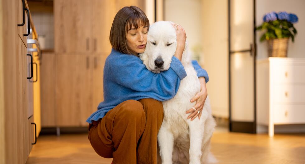 Insuficiencia cardíaca canina: La clave de un tratamiento temprano para mejorar la calidad de vida