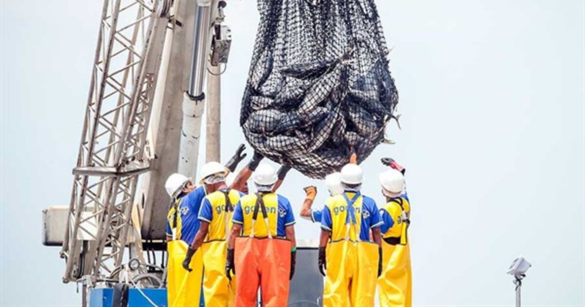 La cancelación de la primera temporada de pesca afectó, aproximadamente, el 1% el PBI nacional. Foto: El Peruano