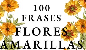 ▷ 100 Frases de Flores Amarillas en México – las mejores dedicatorias de amor para envíar a tu pareja