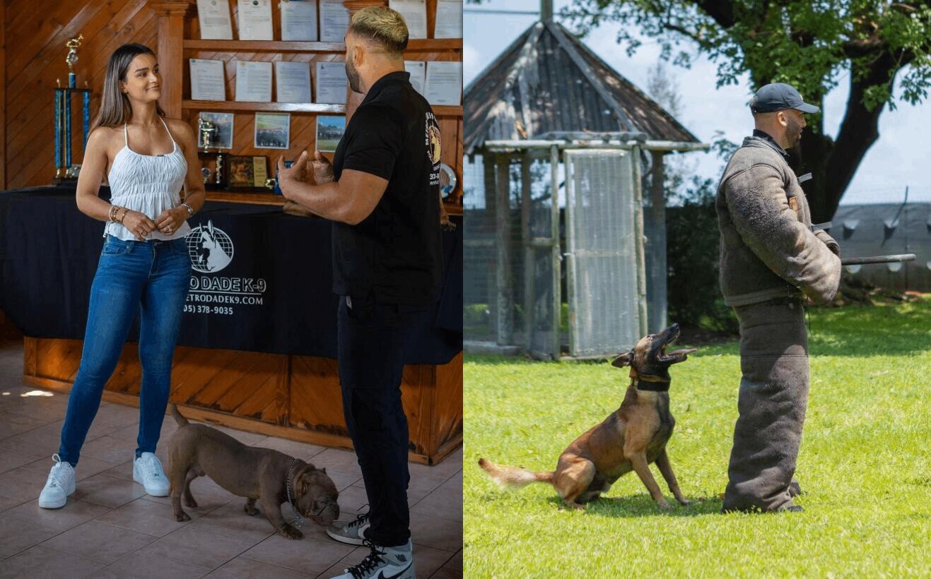 Aris ha sido entrenado para proteger a Clarissa Molina en caso de algún ataque (Foto: metrodadek9services / Instagram)