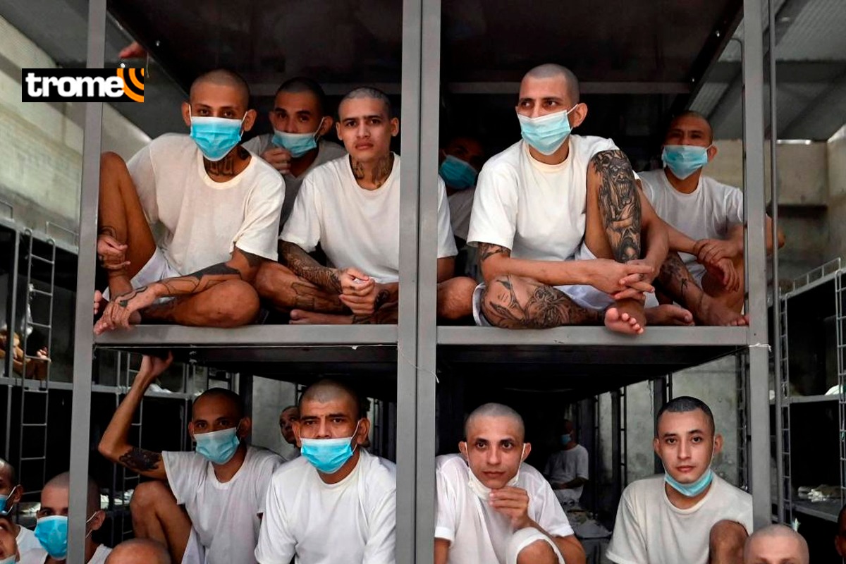 ‘Plan Bukele’ en duda para aplicarse en Perú.