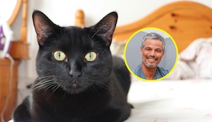 Pancho Cavero: “Los gatos negros han sido víctimas de supersticiones que han afectado su adopción y bienestar”
