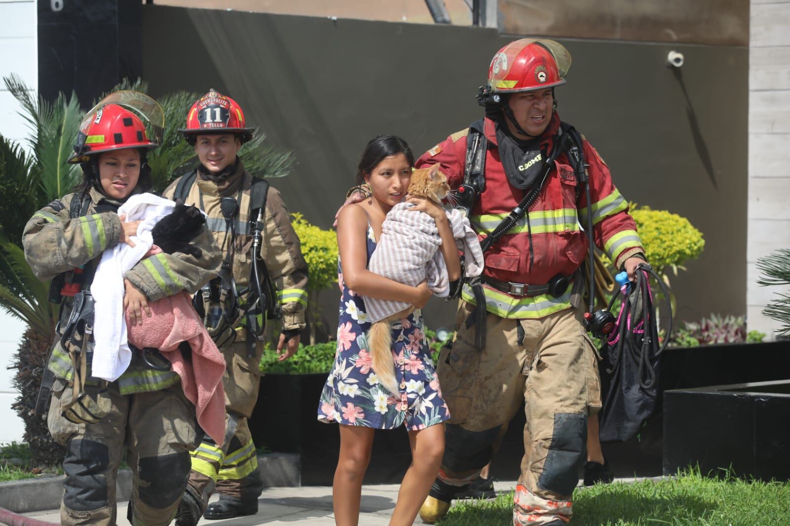 Varias personas salvaron a sus gatitos. Fotos: Diana Marcelo/@photo.gec