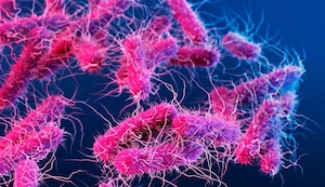 Síndrome de Choque Tóxico: la nueva infección mortal proveniente de Japón