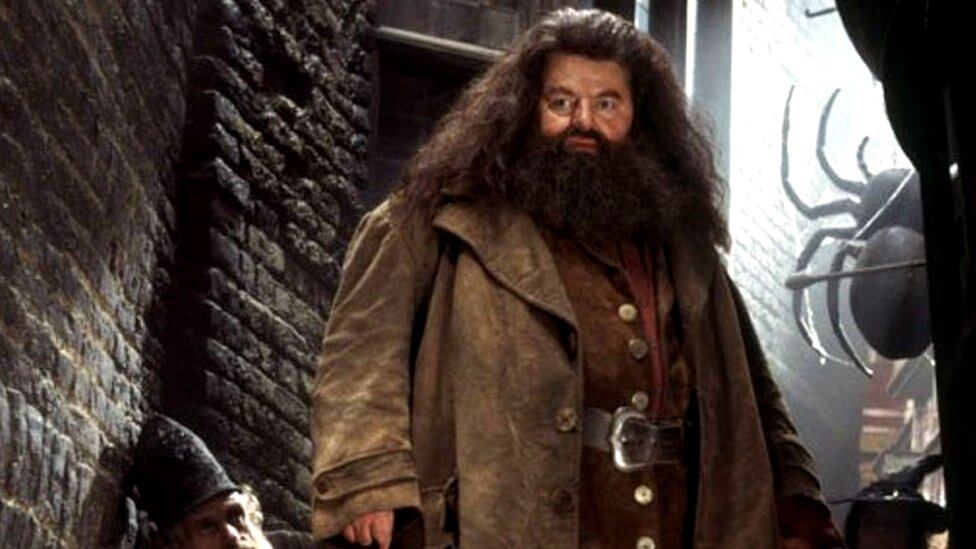 Robbie Coltrane como Hagrid (Foto: Warner Bros)