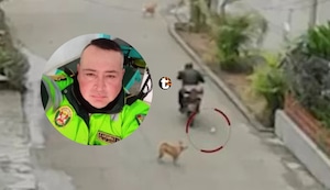 ¡Indignación en VMT! Vecinos acusan a policía en retiro de envenenar a más de 10 mascotas