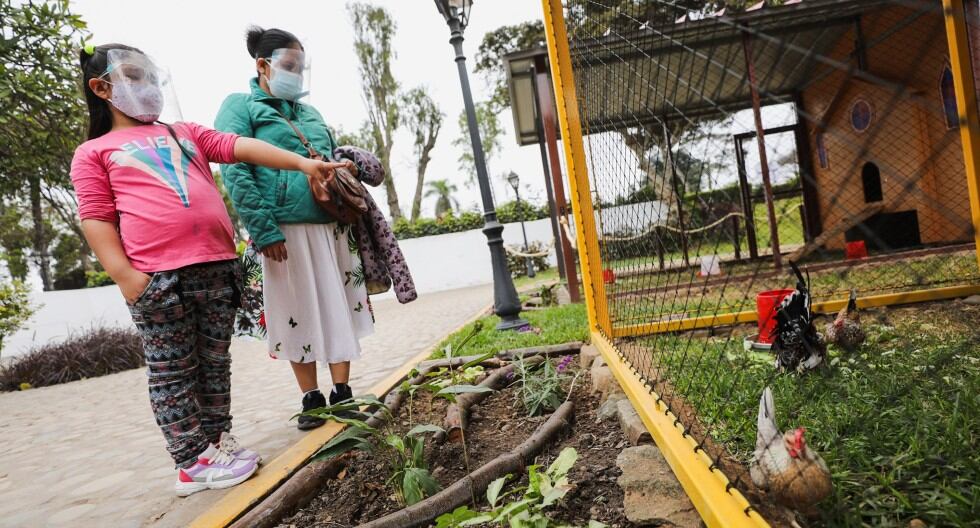 Este domingo es el Día de la Familia Peruana y hay varias actividades para celebrar si sale o si se queda en casa. (Trome)