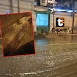 ¡Se activa quebrada en Chosica! Lluvia dura más de 5 horas y provoca alarma entre los ciudadanos