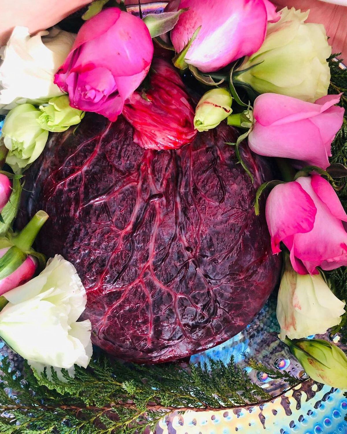 Imagen de la placenta de la actriz tras haber dado a luz a Demián (Foto: Irán Castillo / Instagram)