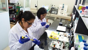 Semana de la Innovación 2024: edición se enfocará en la inteligencia artificial y nuevas tecnologías