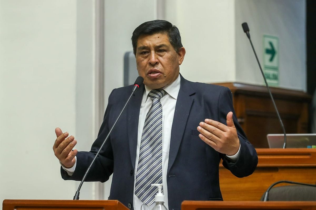 Pasión Dávila (Bancada Socialista) cambió su voto, para ayudar a Lucinda Vásquez. (Foto: Congreso)