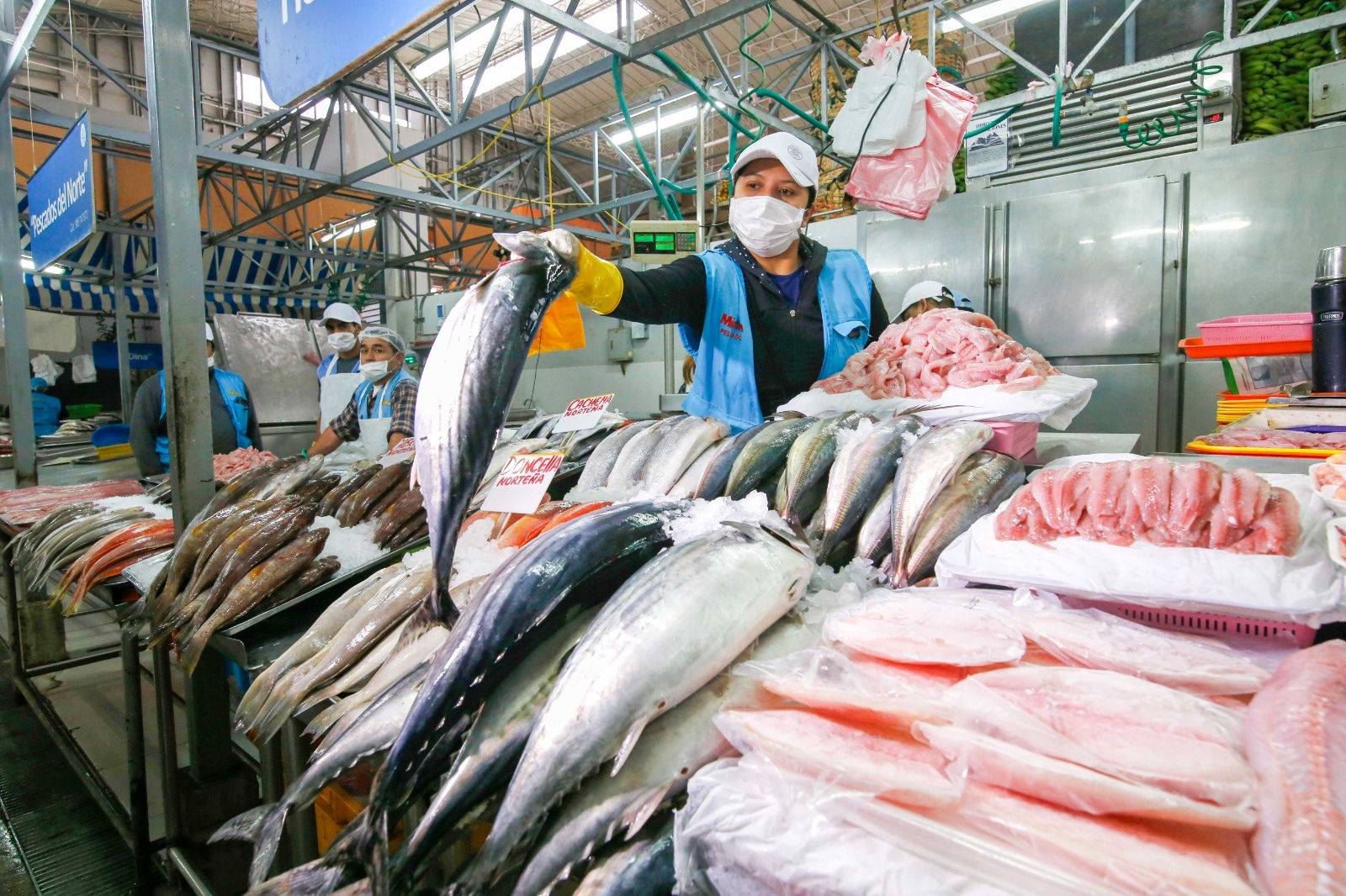 Claves para elegir pescado fresco