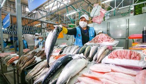 Alimentación saludable: ¿Cómo identificar un pescado fresco?