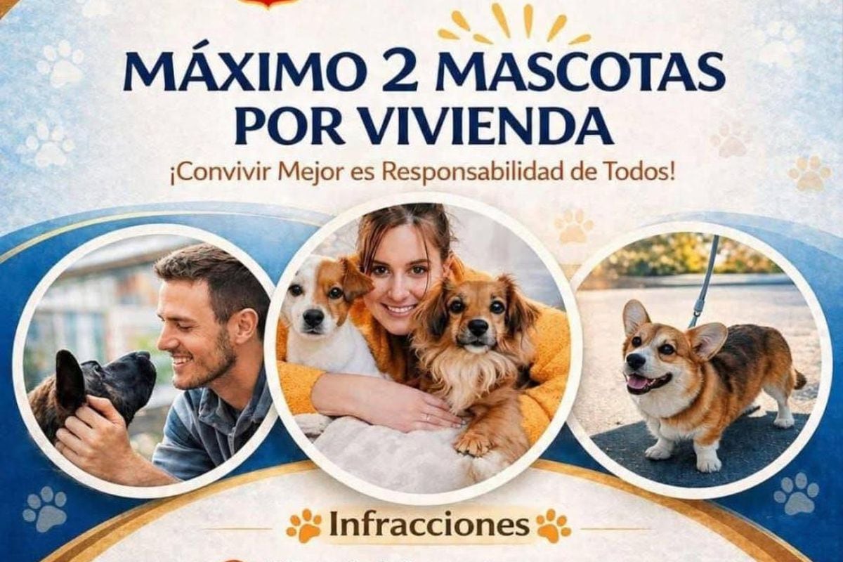 Municipalidad de Chiclayo busca multar a las familias que tengan más de dos mascotas en casa. Foto: Municipalidad de Chilclayo