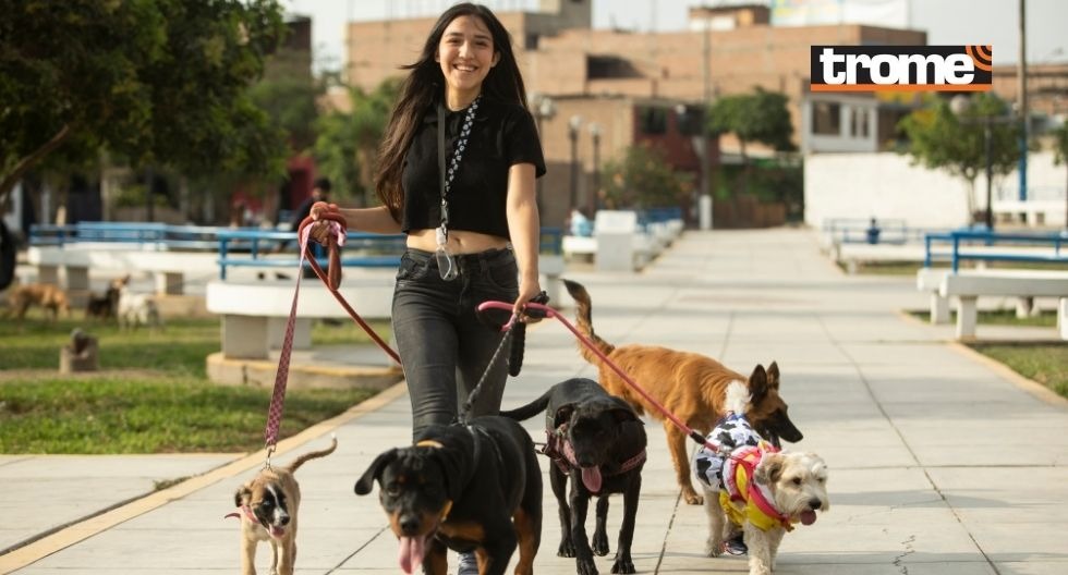 Gabriela Alzamora tiene 17 años y se ha convertido en la paseadora de perros de Lima Norte. (Fotos: Trome)