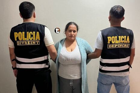 ¡Podría recibir cadena perpetua! Nueve meses de cárcel para mujer que secuestró a bebé en Ica