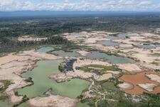 Salvemos a Tambopata de la minería ilegal