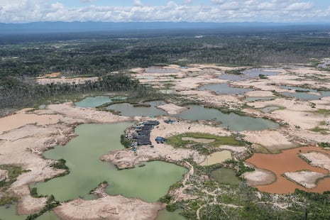 Salvemos a Tambopata de la minería ilegal