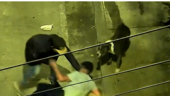 VES: Capturan a delincuente que asaltaba junto a su perro pitbull