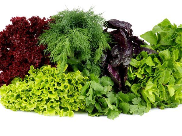 Las verduras de hojas verdes tienen un alto concentrado de Vitaminas del complejo B (Foto: Yahoo)