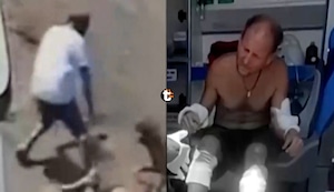 ¡Terror en Pachacámac! Dos perros atacan salvajemente a hombre cuando regresaba de hacer ejercicios