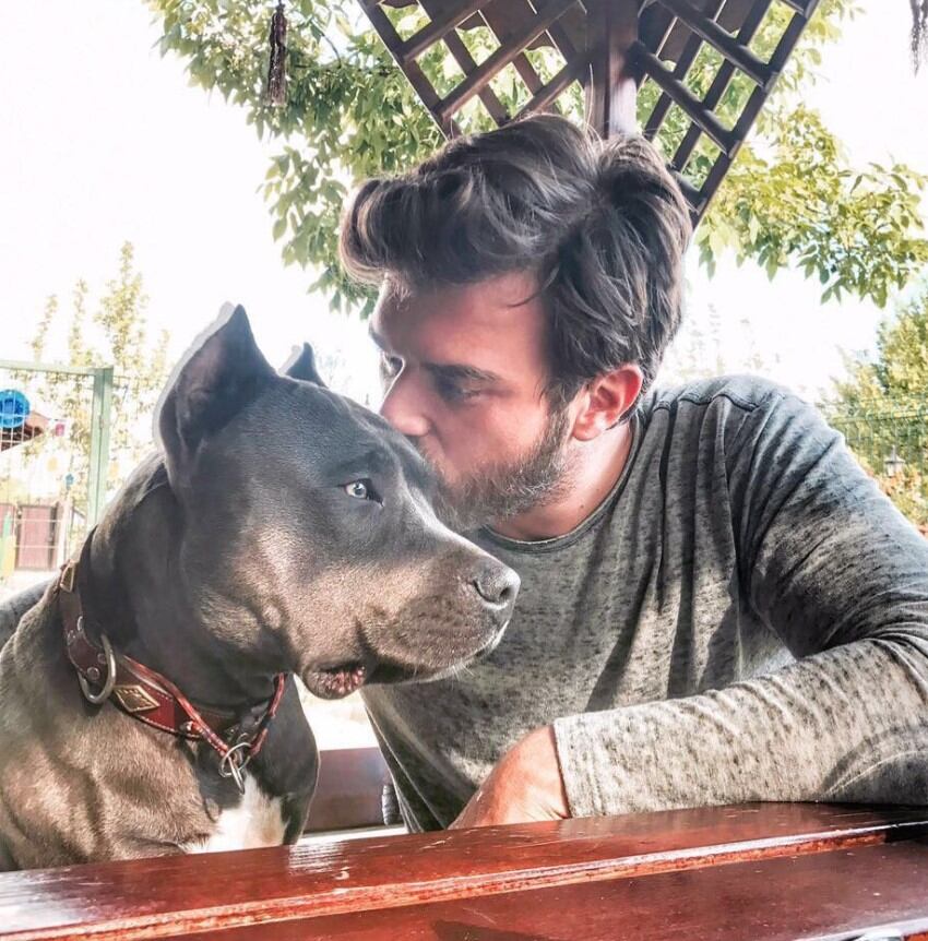 Kıvanç Tatlıtuğ tiene un gran cariño por los animales. (Foto: Kıvanç Tatlıtuğ / Instagram)