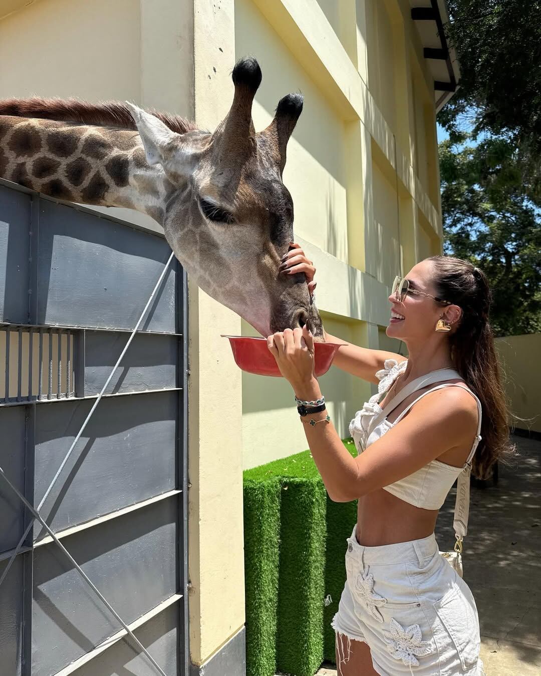 Ana Paula Consorte alimentó a la jirafa en el Parque de Las Leyendas. (@anapaulaconsorte_)