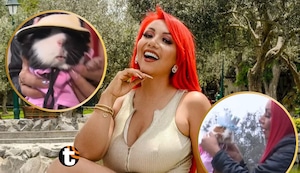 Deysi Araujo alborota El Olivar de San Isidro con sus nuevas mascotas: Conoce a sus tres cuyes