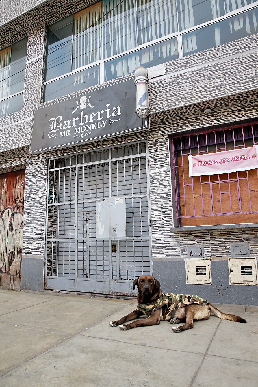 LIMA 01 DICIEMBRE 2024
MATAN A JOVEN BARBERO DENTRO DE LA BARBERIA MR MONKEY EN SAN GENARO, CHORRILLOS.