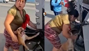 ¡Maltrato animal en Chiclayo! Perro es atado a mototaxi y arrastrado por la carretera