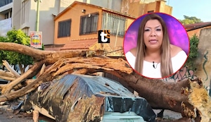 ¡Predicción de Soralla de los Ángeles se cumplió! Se registró un sismo de 6.5 en México