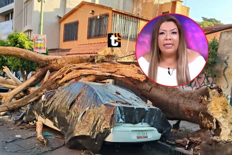 ¡Predicción de Soralla de los Ángeles se cumplió! Se registró un sismo de 6.5 en México