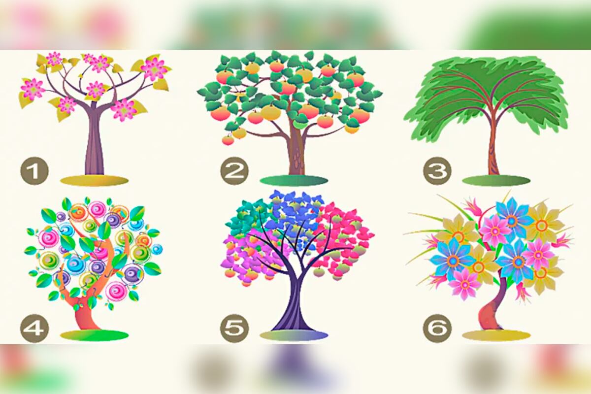 Te encuentras con un grupo de árboles y tienes que elegir solo uno de ellos. (Foto: YourTango)