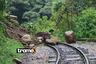 Cusco: deslizamientos bloquean las vías del tren en la ruta de Ollantaytambo a Machu Picchu