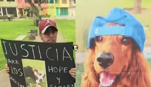 ¡Terror en parque de Los Olivos! Vecinos denuncian envenenamiento masivo de mascotas en el parque Virgen de Fátima