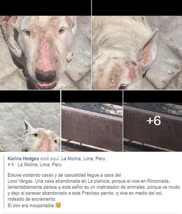 Caso de maltrato animal contra Juan Manuel Vargas | Facebook