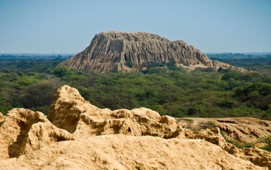 Santuario Histórico Bosque de Pómac (Andina)