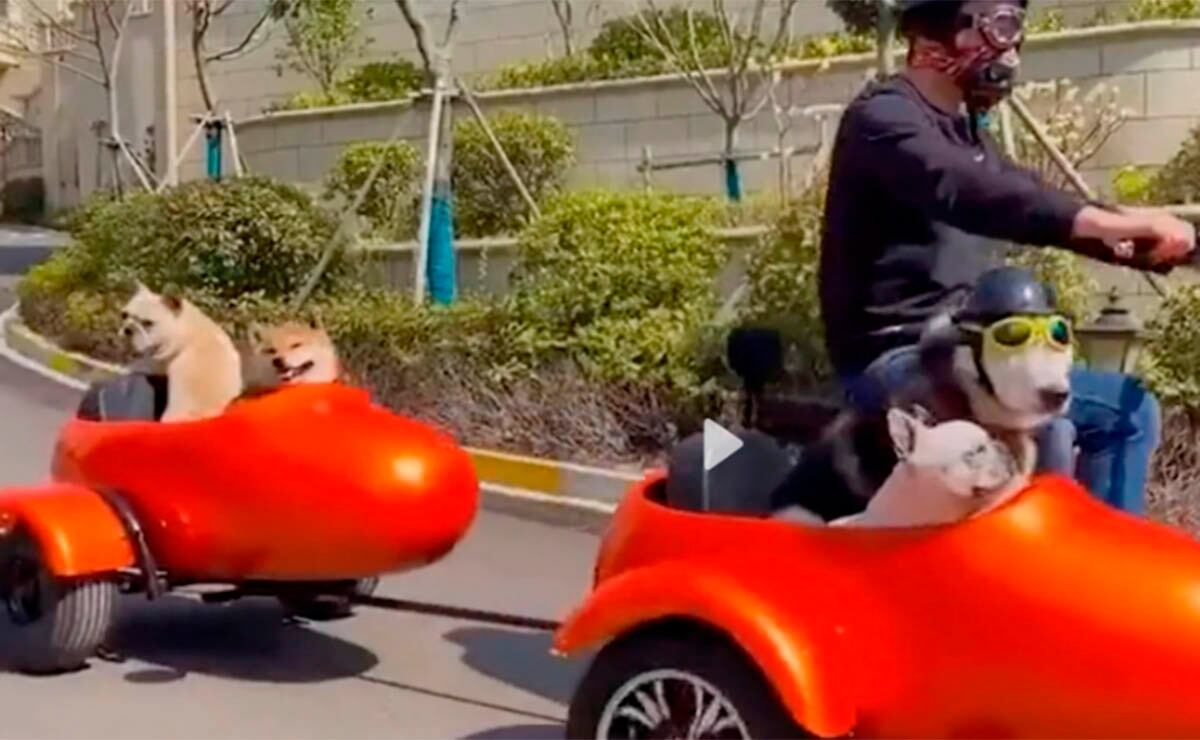 Utilizó gran parte de sus ahorros para construir la mansión que le costó poco más de 50 mil dólares.| Foto: Zhou