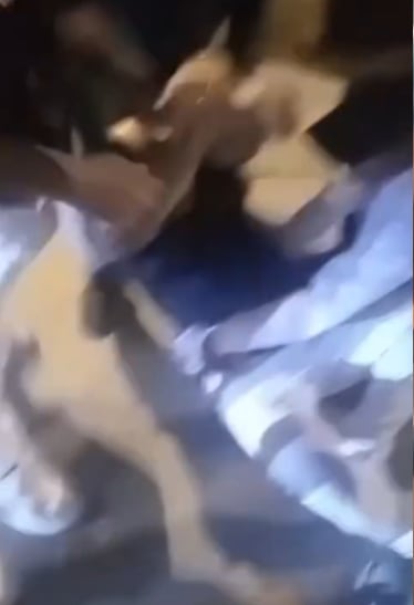 Ataque a 'Carlos Miguel y su orquesta' en Carabayllo