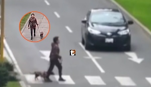 Mujer es atropellada por chofer que se pasa la luz roja, está grave en UCI y su perrita se perdió