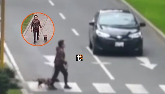 TROME - Mujer es atropellada por chofer que se pasa la luz roja, está grave en UCI y su perrita se perdió