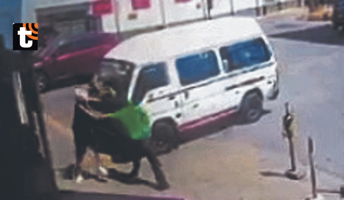 El momento en el que 'Verde' asesina a su víctima.