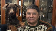 ¡Vacan a alcalde de Arequipa por el caso ‘Flechita’! JNE concluye que usó recursos municipales para cuidar a su perro