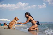 ¿Vas a ir a la playa con tu perro? Sigue estos consejos para cuidarlo