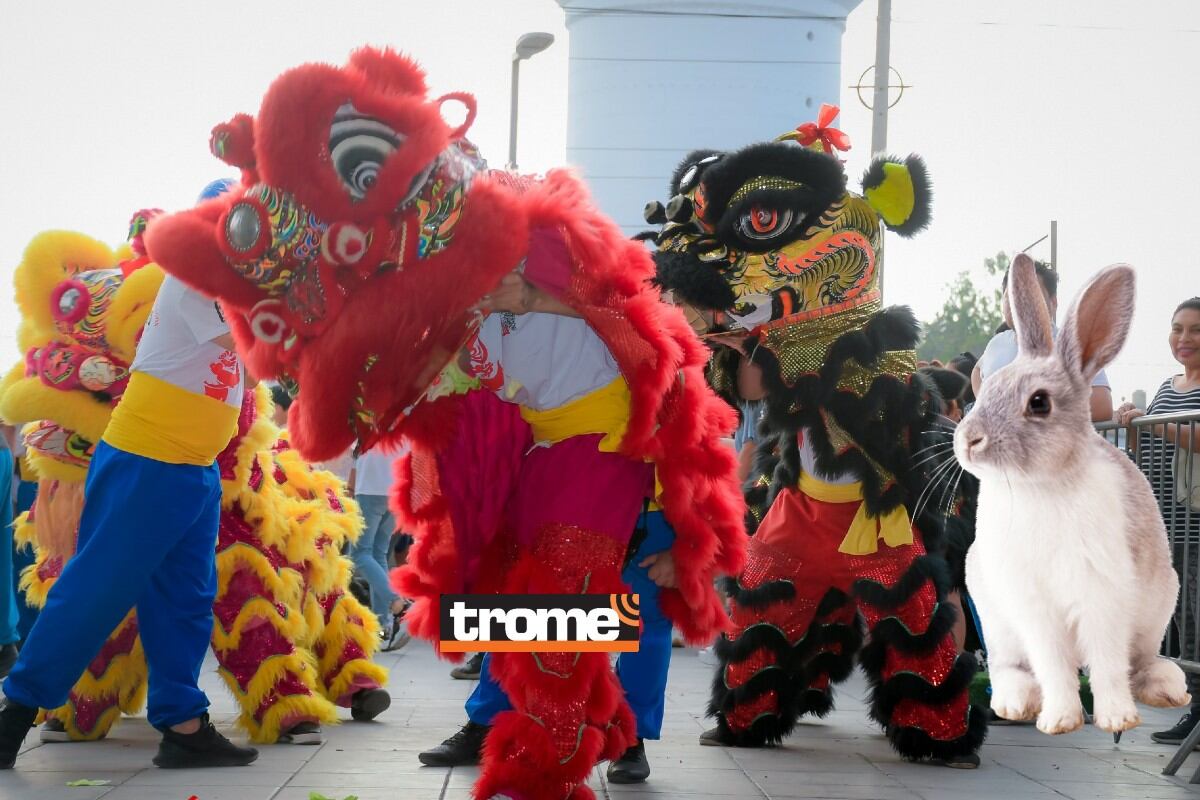 Empiezan a buscar al 'conejito'. (Isabel Medina / Compos. Trome)